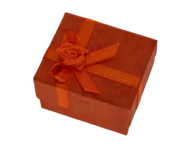 Ringbox rechteckig in 4 Farben